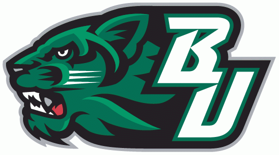 Binghamton Bearcats 2001-Pres Secondary Logo t shirts DIY iron ons v3